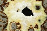 Polished Septarian Slab With Crystals - Utah #119707-1
